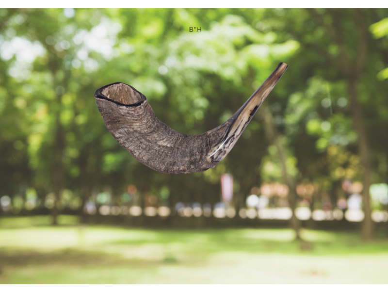 Shofar in the Park